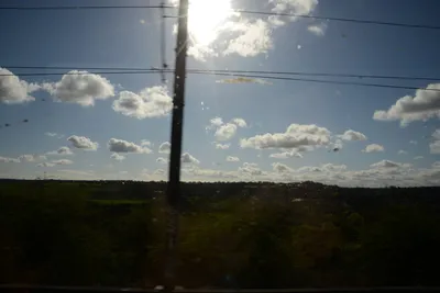 DSC_7195 (Large).JPG